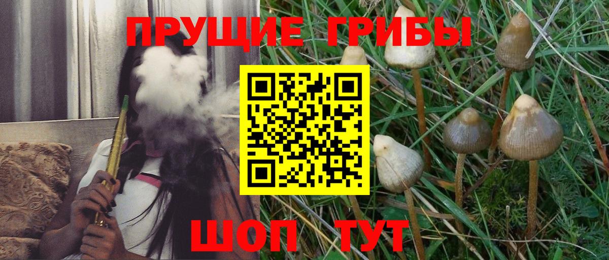 купить наркотик  Вход с VPN  Шелехов  Галлюциногенные грибы GOLDEN TEACHER 
